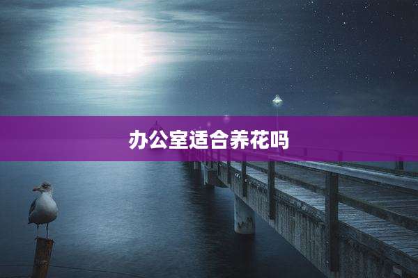 办公室适合养花吗