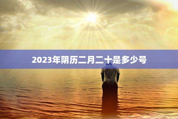 2023年阴历二月二十是多少号