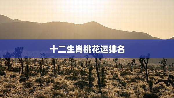 十二生肖桃花运排名
