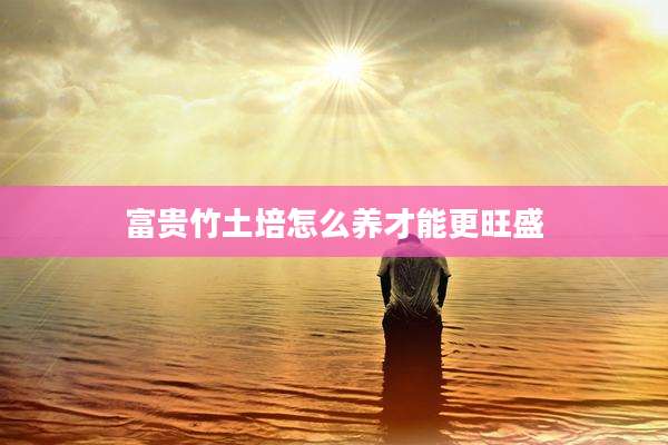 富贵竹土培怎么养才能更旺盛