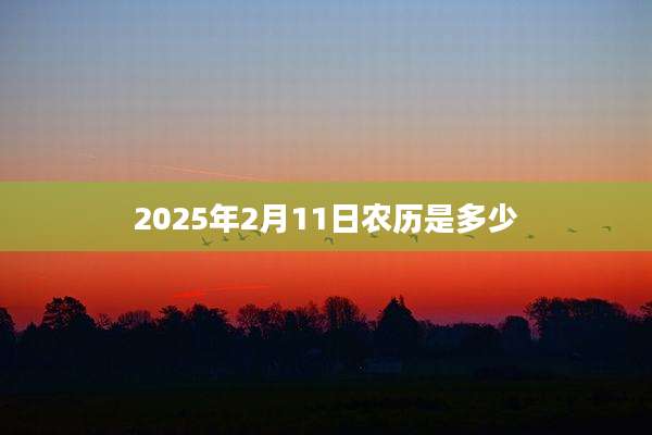 2025年2月11日农历是多少
