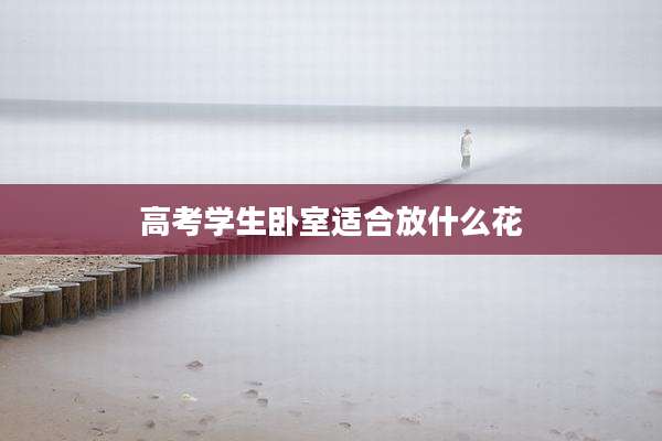 高考学生卧室适合放什么花