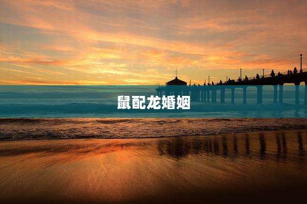鼠配龙婚姻