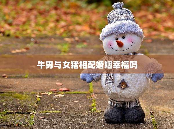 牛男与女猪相配婚姻幸福吗