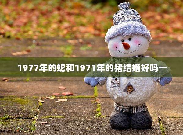 1977年的蛇和1971年的猪结婚好吗一