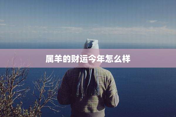 属羊的财运今年怎么样