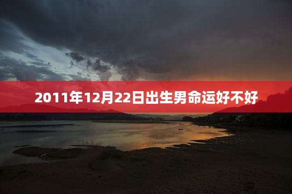 2011年12月22日出生男命运好不好