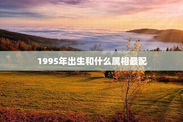1995年出生和什么属相最配