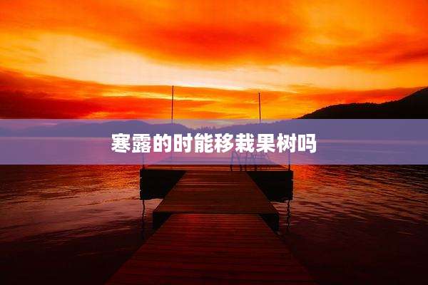 寒露的时能移栽果树吗