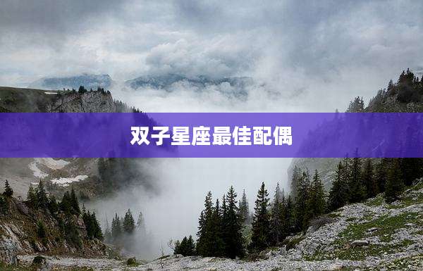 双子星座最佳配偶