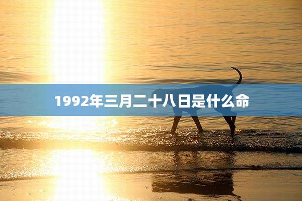 1992年三月二十八日是什么命