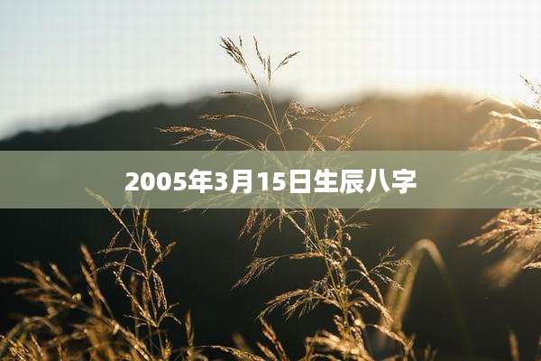2005年3月15日生辰八字