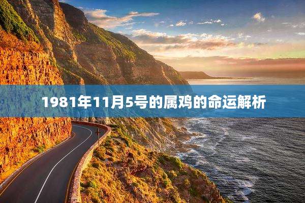 1981年11月5号的属鸡的命运解析
