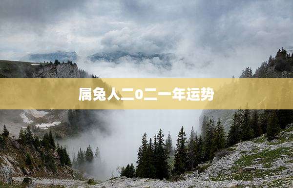 属兔人二0二一年运势