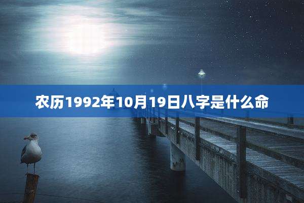 农历1992年10月19日八字是什么命