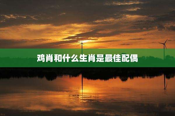 鸡肖和什么生肖是最佳配偶