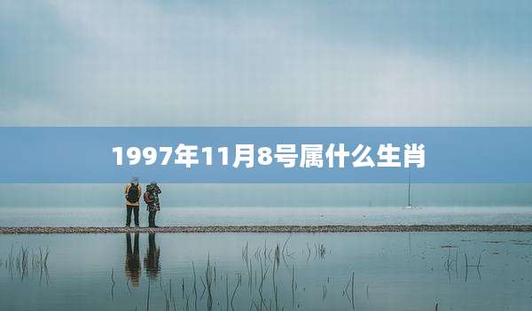 1997年11月8号属什么生肖