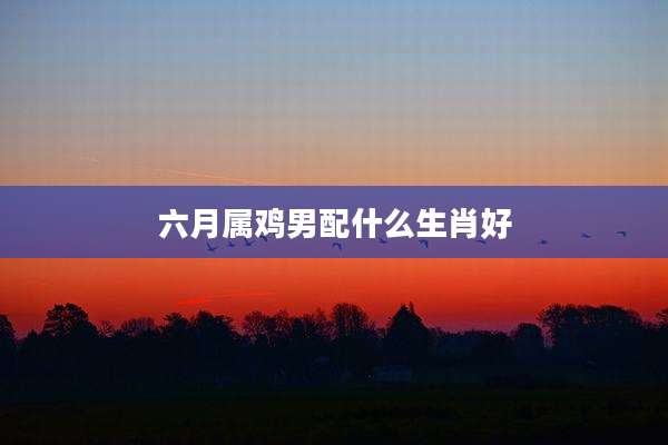 六月属鸡男配什么生肖好