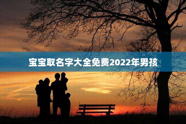 宝宝取名字大全免费2022年男孩