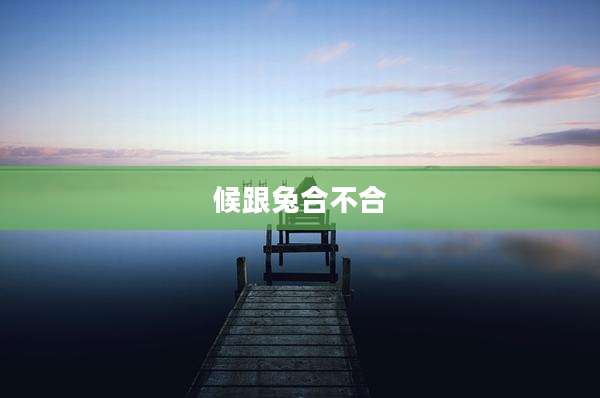 候跟兔合不合