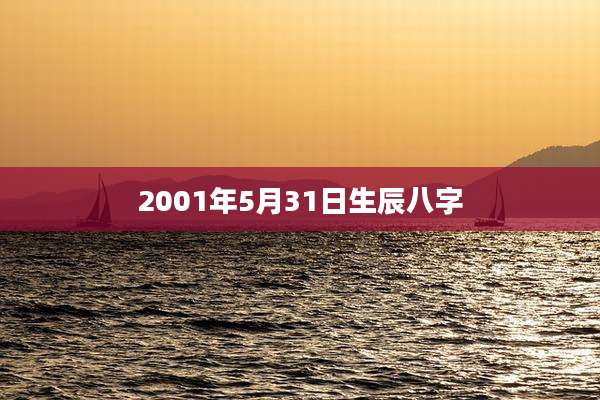 2001年5月31日生辰八字