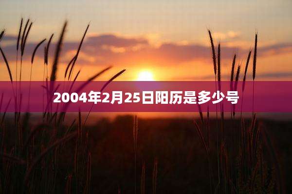 2004年2月25日阳历是多少号