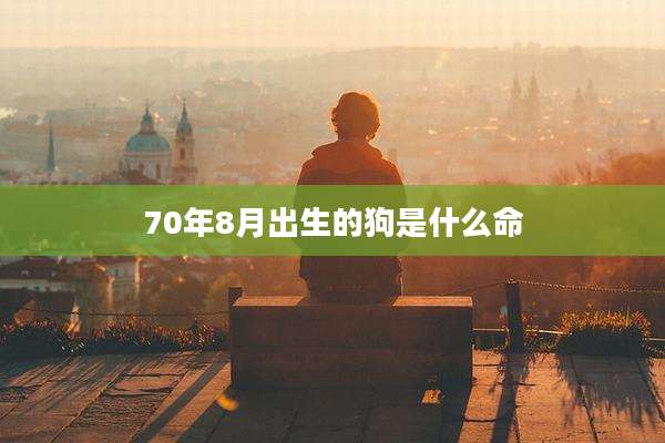 70年8月出生的狗是什么命