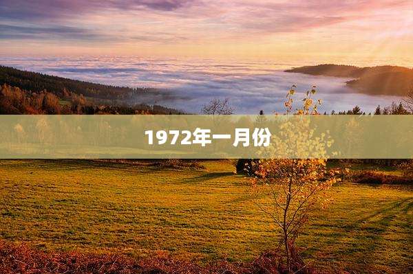 1972年一月份