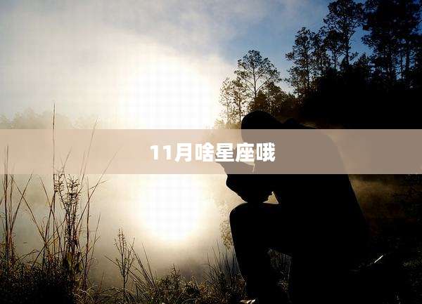 11月啥星座哦