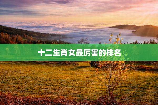 十二生肖女最厉害的排名