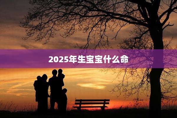 2025年生宝宝什么命