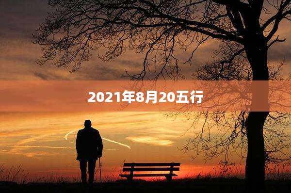 2021年8月20五行