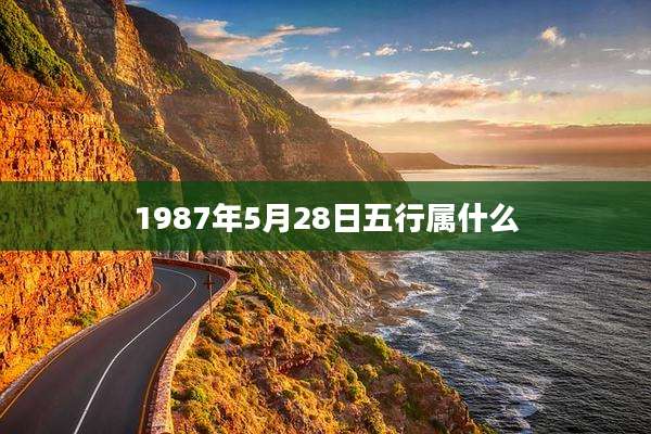 1987年5月28日五行属什么
