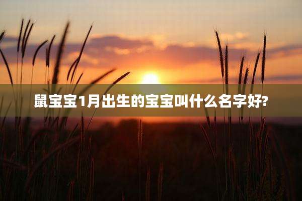 鼠宝宝1月出生的宝宝叫什么名字好?