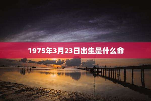 1975年3月23日出生是什么命
