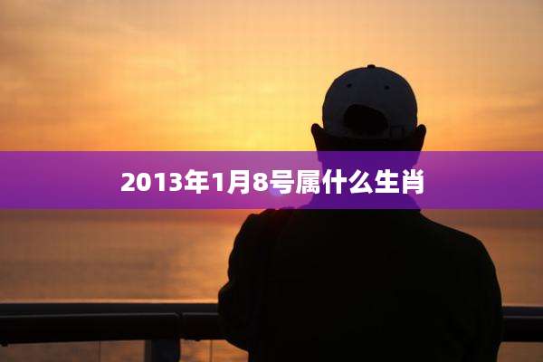 2013年1月8号属什么生肖