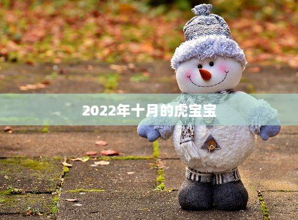 2022年十月的虎宝宝