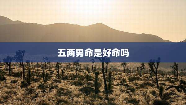 五两男命是好命吗