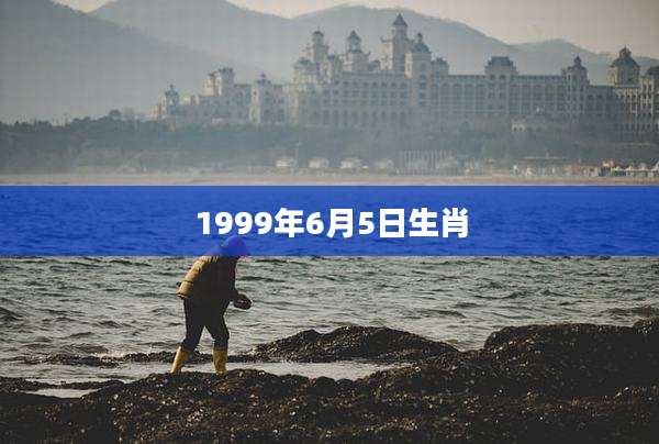 1999年6月5日生肖