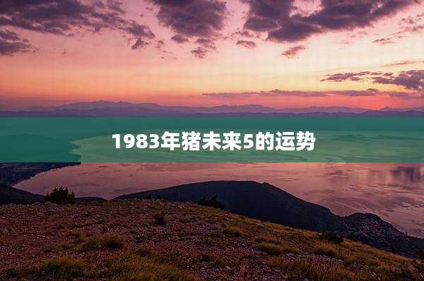 1983年猪未来5的运势
