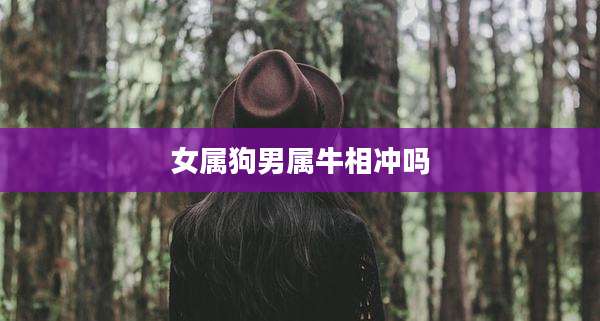 女属狗男属牛相冲吗