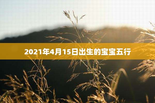 2021年4月15日出生的宝宝五行