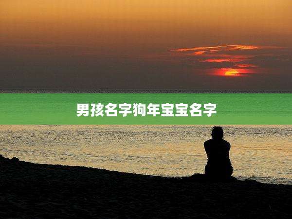 男孩名字狗年宝宝名字
