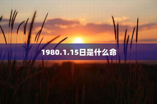 1980.1.15日是什么命