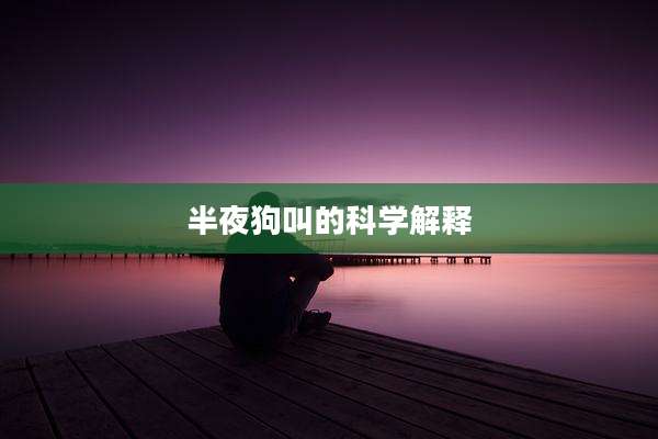 半夜狗叫的科学解释