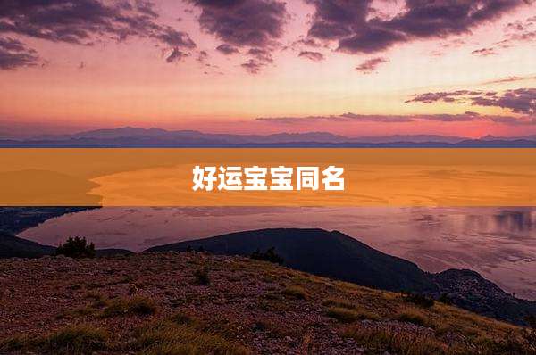 好运宝宝同名