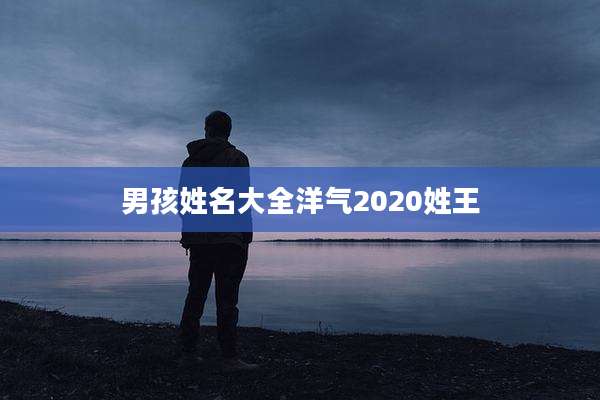 男孩姓名大全洋气2020姓王
