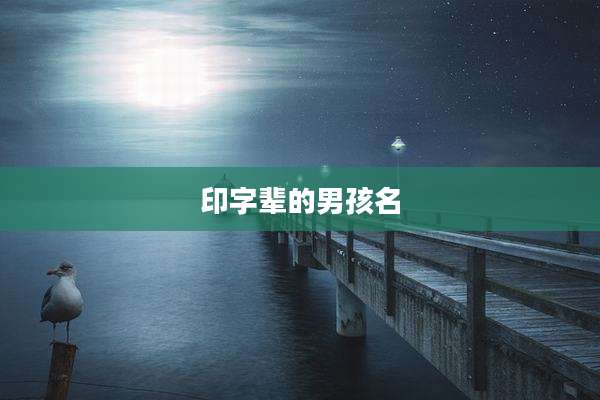 印字辈的男孩名