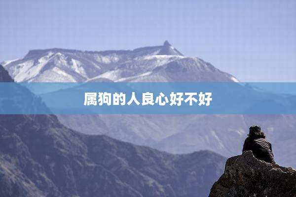 属狗的人良心好不好