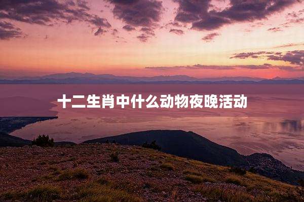 十二生肖中什么动物夜晚活动